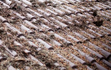 Bagpath roof cleaning companies